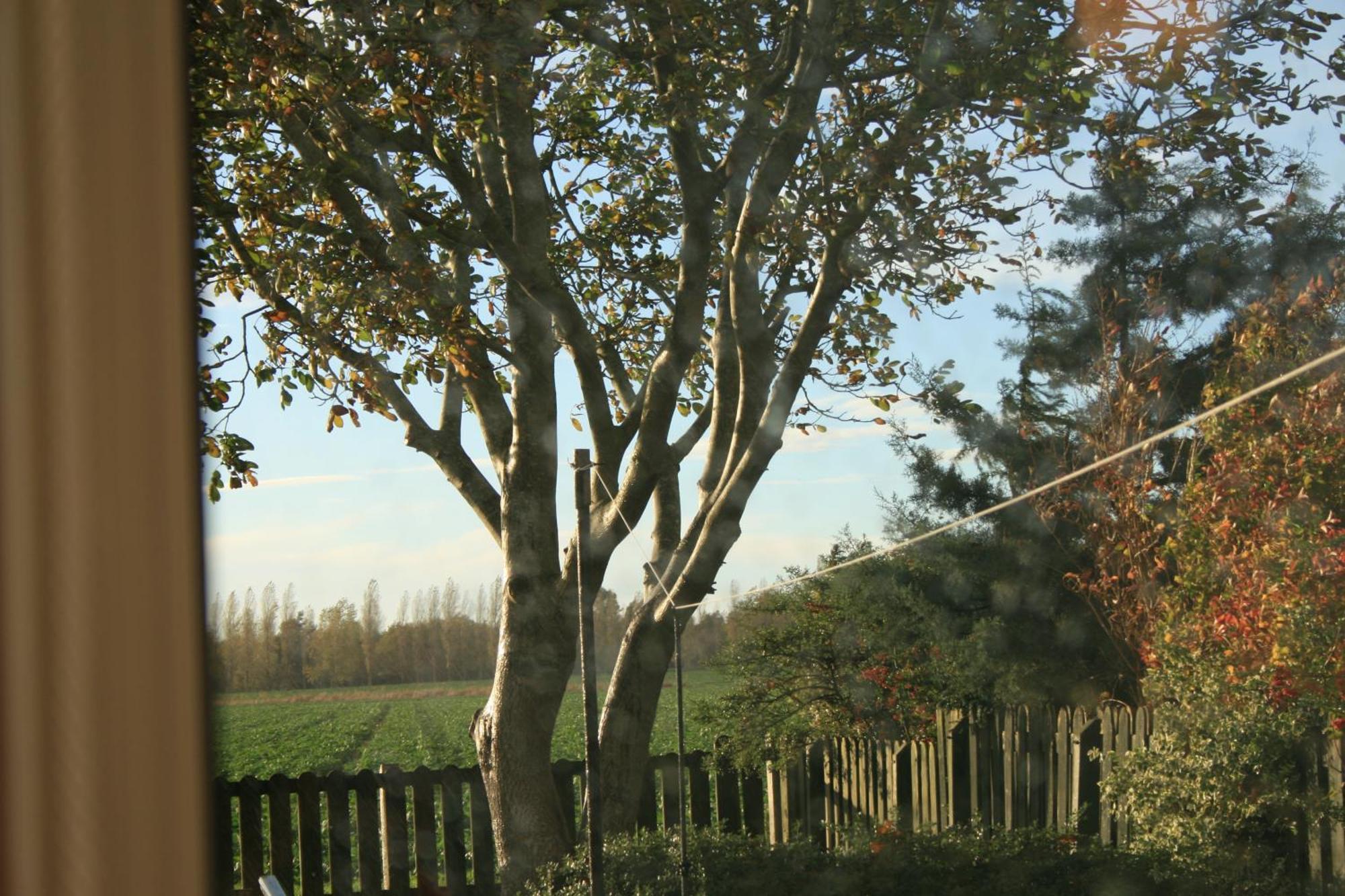 Simla Bungalow, Tetney Exterior photo